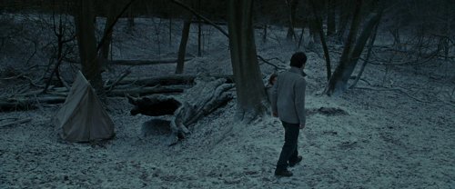 harry_potter_and_the_deathly_hallows:_part_1_frame_1739128019.6233163.jpg