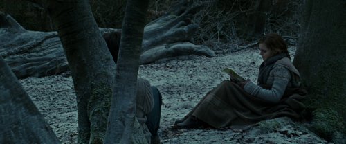 harry_potter_and_the_deathly_hallows:_part_1_frame_1739128019.898145.jpg
