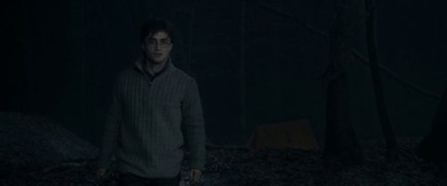harry_potter_and_the_deathly_hallows:_part_1_frame_1739128020.3673084.jpg