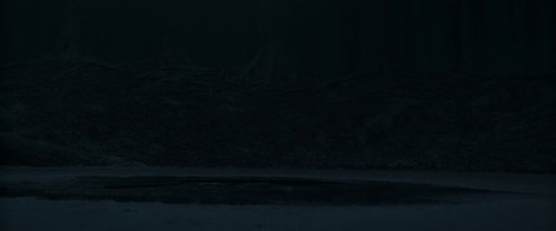 harry_potter_and_the_deathly_hallows:_part_1_frame_1739128020.830205.jpg