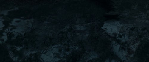 harry_potter_and_the_deathly_hallows:_part_1_frame_1739128021.34075.jpg