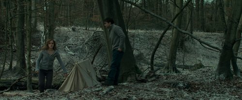 harry_potter_and_the_deathly_hallows:_part_1_frame_1739128022.0992346.jpg