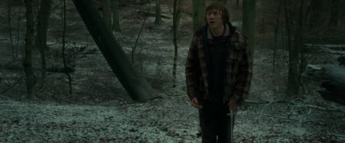 harry_potter_and_the_deathly_hallows:_part_1_frame_1739128022.388212.jpg