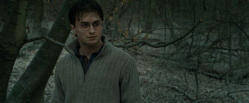 harry_potter_and_the_deathly_hallows:_part_1_frame_1739128022.6693304.jpg