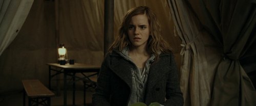 harry_potter_and_the_deathly_hallows:_part_1_frame_1739128023.262354.jpg