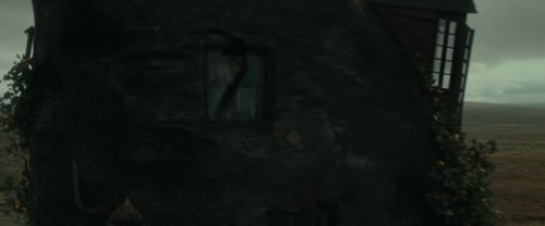 harry_potter_and_the_deathly_hallows:_part_1_frame_1739128024.036482.jpg