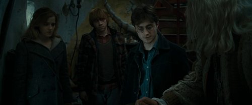 harry_potter_and_the_deathly_hallows:_part_1_frame_1739128025.1928244.jpg