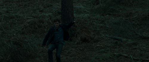 harry_potter_and_the_deathly_hallows:_part_1_frame_1739128026.1608691.jpg