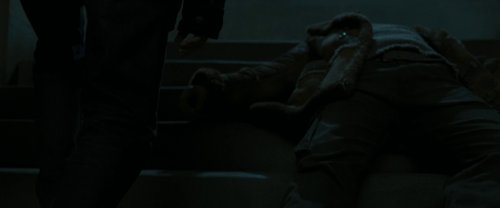 harry_potter_and_the_deathly_hallows:_part_1_frame_1739128028.0602107.jpg