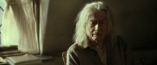 harry_potter_and_the_deathly_hallows:_part_2_frame_1739128212.533512.jpg