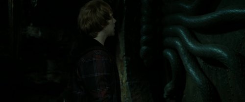 harry_potter_and_the_deathly_hallows:_part_2_frame_1739128222.6803858.jpg