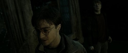 harry_potter_and_the_deathly_hallows:_part_2_frame_1739128229.105532.jpg
