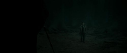harry_potter_and_the_deathly_hallows:_part_2_frame_1739128233.624185.jpg