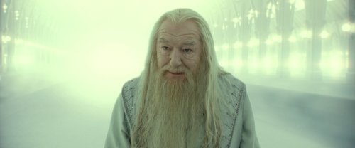 harry_potter_and_the_deathly_hallows:_part_2_frame_1739128234.5261528.jpg