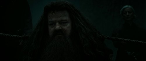 harry_potter_and_the_deathly_hallows:_part_2_frame_1739128234.9762487.jpg