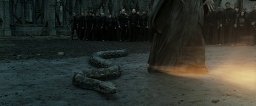 harry_potter_and_the_deathly_hallows:_part_2_frame_1739128236.154479.jpg
