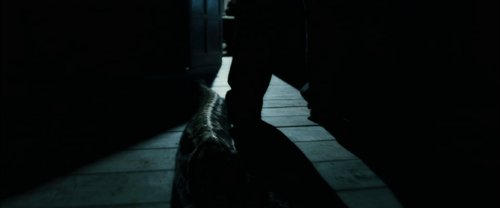 harry_potter_and_the_goblet_of_fire_frame_1739126877.366656.jpg