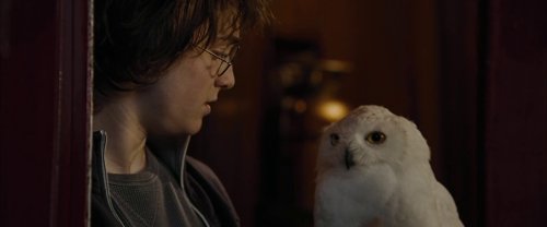 harry_potter_and_the_goblet_of_fire_frame_1739126880.882142.jpg