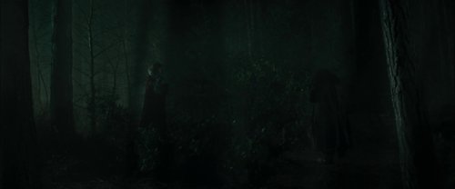 harry_potter_and_the_goblet_of_fire_frame_1739126889.4043384.jpg