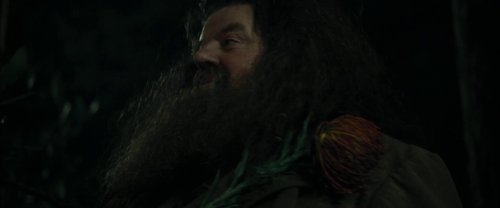 harry_potter_and_the_goblet_of_fire_frame_1739126889.6513886.jpg