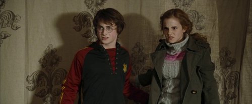 harry_potter_and_the_goblet_of_fire_frame_1739126891.1284165.jpg
