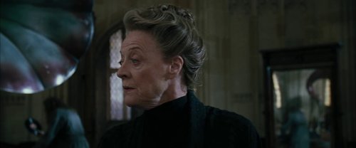 harry_potter_and_the_goblet_of_fire_frame_1739126894.0146208.jpg