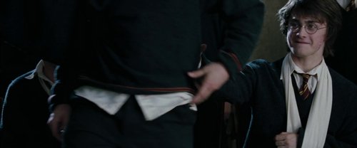 harry_potter_and_the_goblet_of_fire_frame_1739126894.2728386.jpg