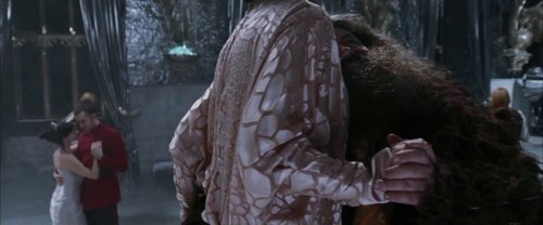 harry_potter_and_the_goblet_of_fire_frame_1739126897.606557.jpg