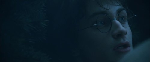harry_potter_and_the_goblet_of_fire_frame_1739126906.624578.jpg