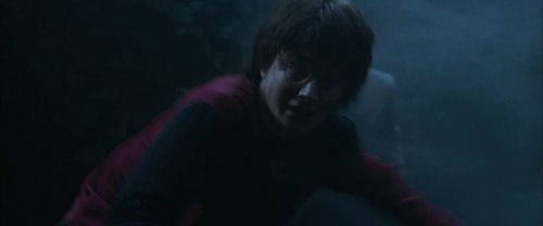 harry_potter_and_the_goblet_of_fire_frame_1739126906.8694835.jpg
