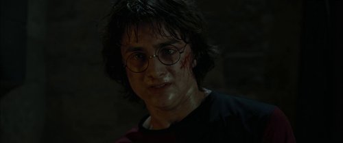 harry_potter_and_the_goblet_of_fire_frame_1739126910.352236.jpg
