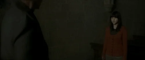 harry_potter_and_the_half-blood_prince_frame_1739127320.2861362.webp