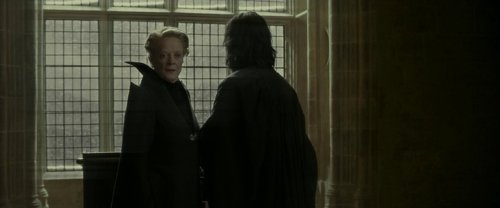 harry_potter_and_the_half-blood_prince_frame_1739127320.5623438.jpg