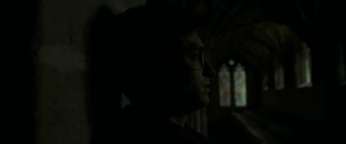 harry_potter_and_the_half-blood_prince_frame_1739127324.8178282.jpg
