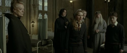 harry_potter_and_the_half-blood_prince_frame_1739127329.2645483.jpg