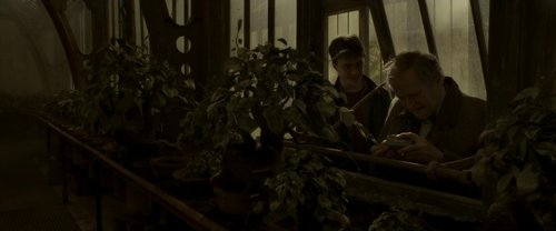 harry_potter_and_the_half-blood_prince_frame_1739127332.1957517.jpg