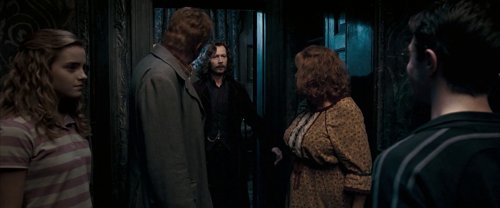 harry_potter_and_the_order_of_the_phoenix_frame_1739127095.6305401.jpg