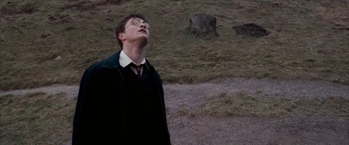 harry_potter_and_the_order_of_the_phoenix_frame_1739127102.8272057.jpg