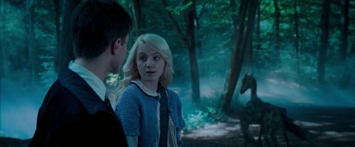 harry_potter_and_the_order_of_the_phoenix_frame_1739127103.1082902.jpg