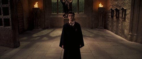 harry_potter_and_the_order_of_the_phoenix_frame_1739127105.234498.jpg