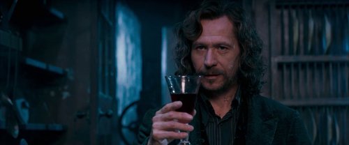 harry_potter_and_the_order_of_the_phoenix_frame_1739127110.372239.jpg