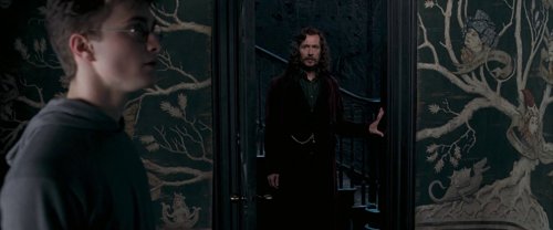 harry_potter_and_the_order_of_the_phoenix_frame_1739127110.6434526.jpg