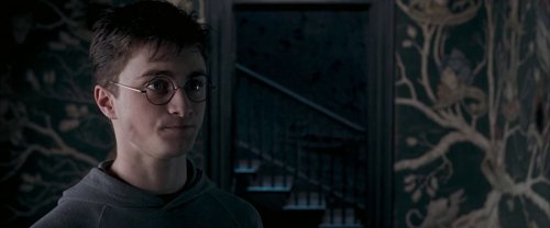 harry_potter_and_the_order_of_the_phoenix_frame_1739127110.846965.jpg