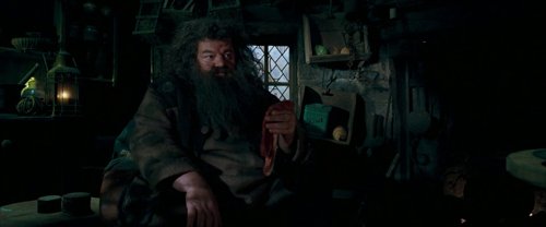 harry_potter_and_the_order_of_the_phoenix_frame_1739127111.7865512.jpg