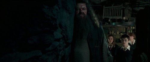 harry_potter_and_the_order_of_the_phoenix_frame_1739127112.0817108.jpg