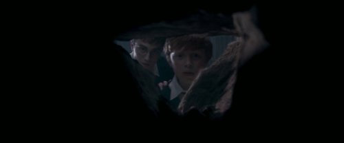 harry_potter_and_the_order_of_the_phoenix_frame_1739127113.392825.jpg