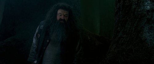harry_potter_and_the_order_of_the_phoenix_frame_1739127114.544151.jpg