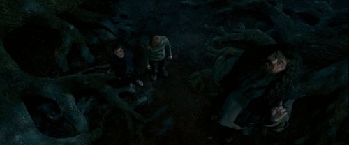 harry_potter_and_the_order_of_the_phoenix_frame_1739127114.7787042.jpg