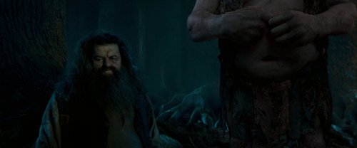 harry_potter_and_the_order_of_the_phoenix_frame_1739127115.0519316.jpg