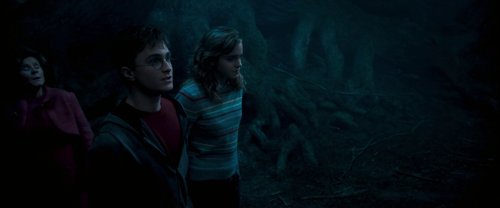 harry_potter_and_the_order_of_the_phoenix_frame_1739127118.1529796.jpg